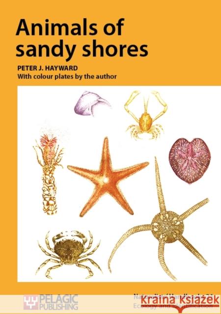 Animals of sandy shores Peter J. Hayward Peter J. Hayward 9781784270391 Pelagic Publishing Ltd
