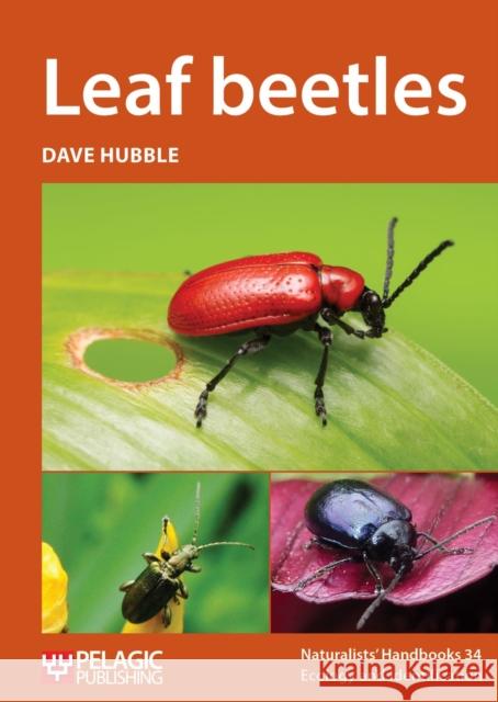 Leaf beetles Dave Hubble 9781784271503 Pelagic Publishing