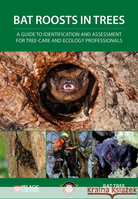 Bat Roosts Trees: Guide Identification Bat Tree Habitat Key 9781784271619 Pelagic Publishing