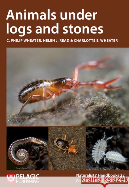 Animals under logs and stones Charlotte Wheater 9781784274177