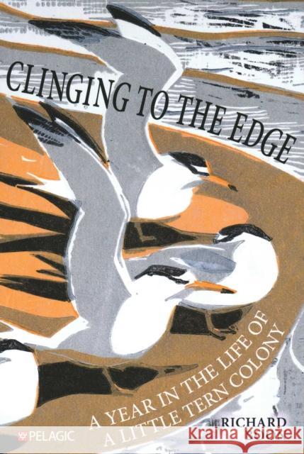 Clinging to the Edge: A Year in the Life of a Little Tern Colony Richard Boon 9781784274894 Pelagic Publishing Ltd