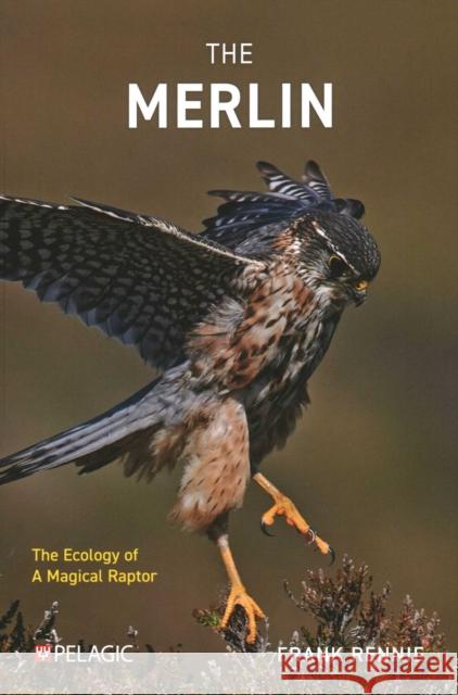 The Merlin Frank Rennie 9781784275556 Pelagic Publishing
