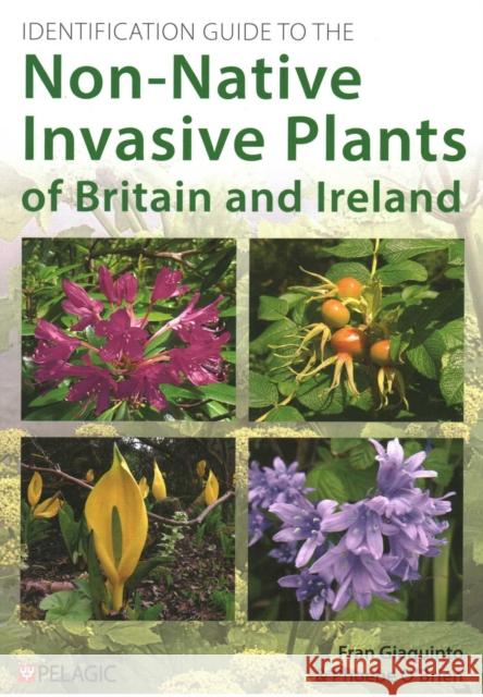 Identification Guide to the Non-Native Invasive Plants of Britain and Ireland Phoebe O’Brien 9781784275648 Pelagic Publishing