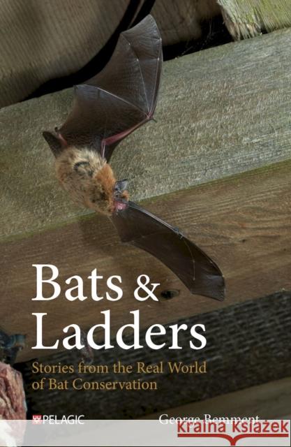 Bats & Ladders George Bemment 9781784275808 Pelagic Publishing