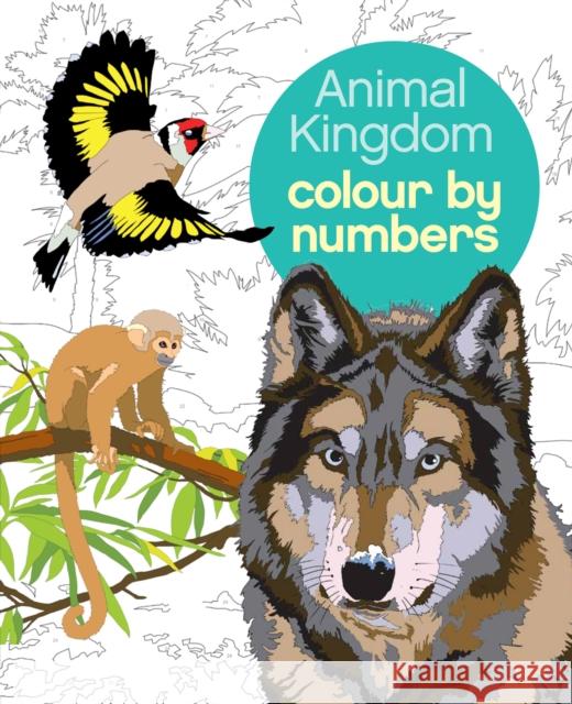 Animal Kingdom Colour by Numbers Arpad (Illustrator) Olbey 9781784283841 Arcturus Publishing Ltd