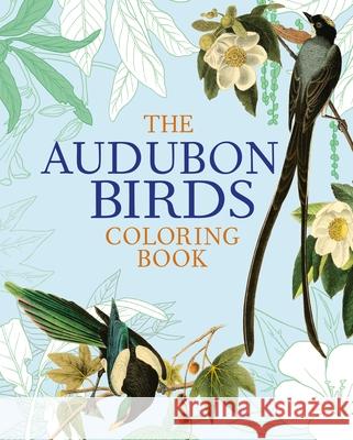 The Audubon Birds Coloring Book John James Audubon 9781784286002 Arcturus Publishing