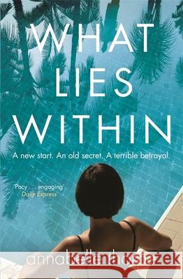 What Lies Within: The perfect gripping read Annabelle Thorpe 9781784299477