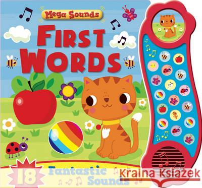 First Words  9781784403997 Bonnier Books Ltd