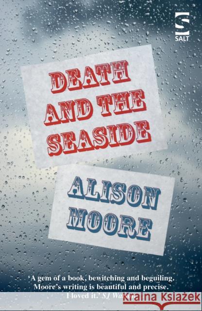 Death and the Seaside Alison Moore 9781784630690 Salt Publishing