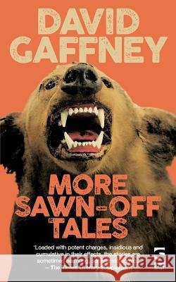 More Sawn-Off Tales David Gaffney 9781784630997 Salt Publishing