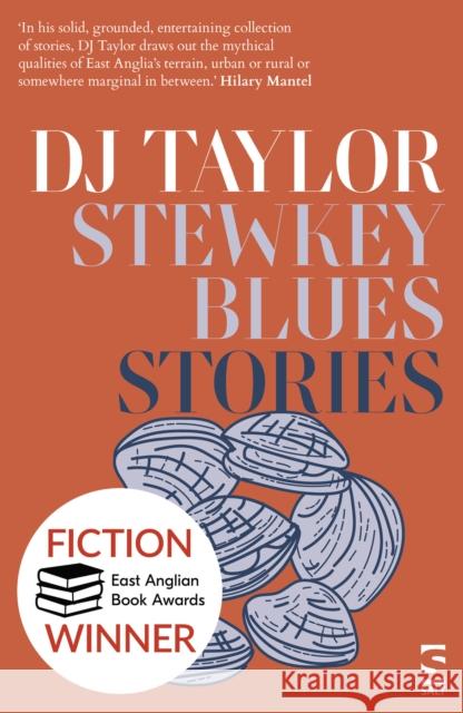 Stewkey Blues: Stories D. J. Taylor 9781784632458 Salt Publishing