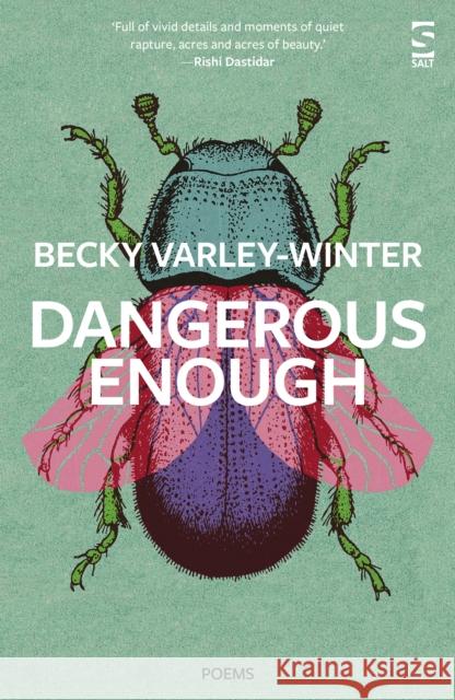 Dangerous Enough Ms Becky Varley-Winter 9781784632960 Salt Publishing