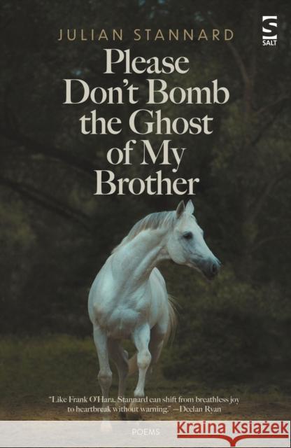 Please Don’t Bomb the Ghost of My Brother Julian Stannard 9781784633066 Salt Publishing