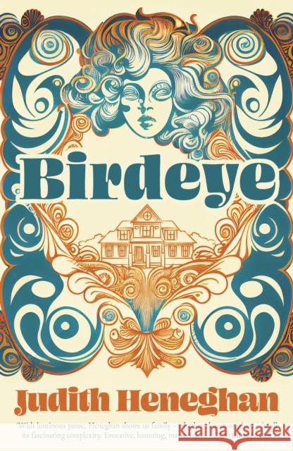 Birdeye Judith Heneghan 9781784633264 Salt Publishing