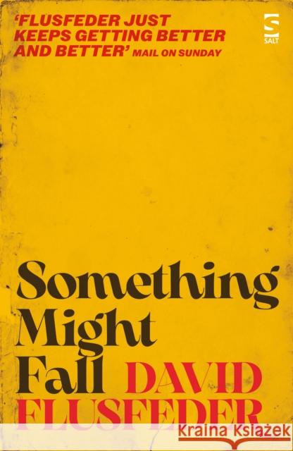 Something Might Fall David Flusfeder 9781784633714 Salt Publishing