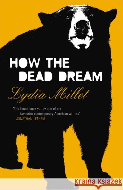 How the Dead Dream  Millet, Lydia 9781784700638