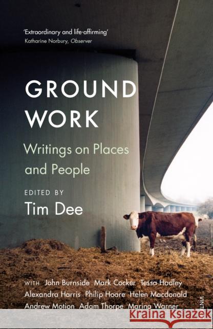 Ground Work Tim Dee 9781784703462 Vintage Publishing