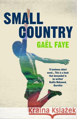 Small Country Gael Faye 9781784705930 Vintage Publishing