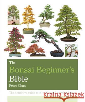 The Bonsai Beginner's Bible Chan, Peter 9781784723699 Octopus Publishing Group