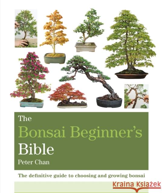 The Bonsai Beginner's Bible: The definitive guide to choosing and growing bonsai Peter Chan 9781784723699