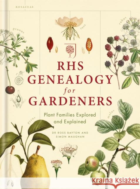 RHS Genealogy for Gardeners: Plant Families Explored & Explained Maughan, Simon|||Bayton, Ross 9781784723804 Octopus Publishing Group