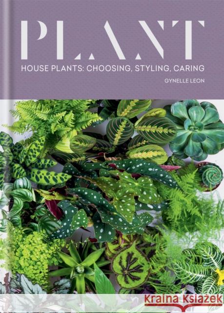 Plant: House plants: choosing, styling, caring Gynelle Leon 9781784726744 Octopus Publishing Group