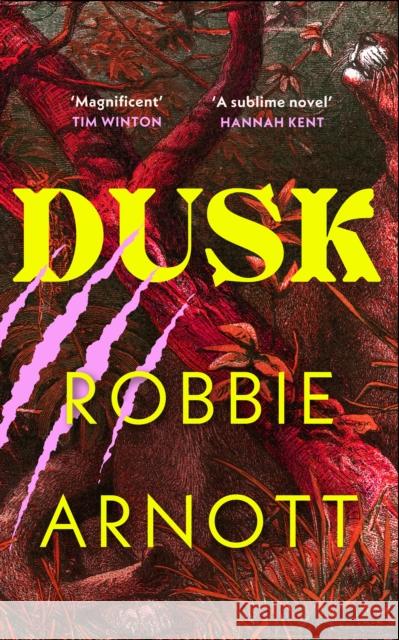 Dusk Susan Gates 9781784745981