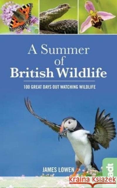 Summer of Wildlife James Lowen 9781784770099