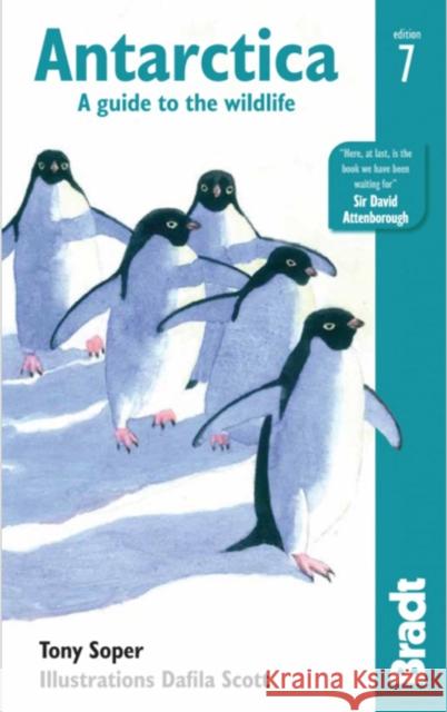 Antarctica: A Guide to the Wildlife Tony Soper Dafila Scott 9781784770914 Bradt Travel Guides