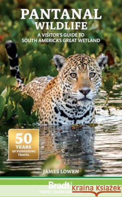 Pantanal Wildlife: A visitor's guide to South America's Great Wetland James Lowen 9781784777135 Bradt Travel Guides