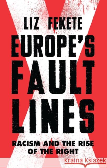 Europe's Fault Lines: Racism and the Rise of the Right Elizabeth Fekete 9781784787233 Verso Books