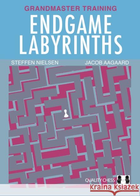 Endgame Labyrinths Jacob Aagaard Steffen Nielsen 9781784831523 Quality Chess