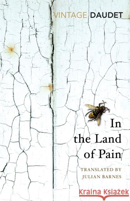 In the Land of Pain Alphonse Daudet 9781784873455