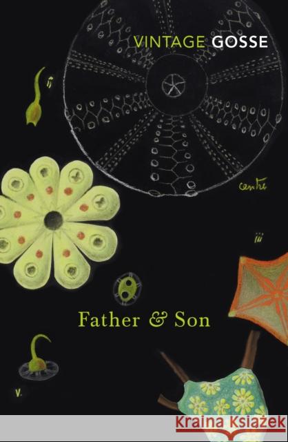 Father and Son Gosse, Edmund 9781784874391