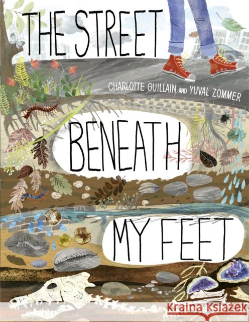 The Street Beneath My Feet Charlotte Gullian Yuval Zommer  9781784937317 Aurum Press