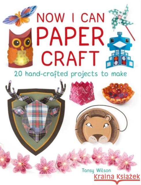 Now I Can Paper Craft: 20 Hand-Crafted Projects to Make Tansy Wilson 9781784942441 GMC Publications