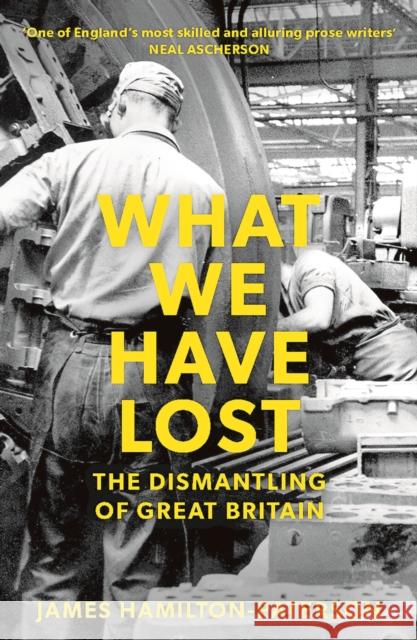 What We Have Lost: The Dismantling of Great Britain James Hamilton-Paterson   9781784972363