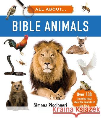 All about Bible Animals: Over 100 Amazing Facts about the Animals of the Bible Simona Piscioneri 9781784988685 Good Book Co