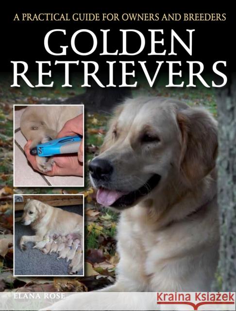 Golden Retrievers: A Practical Guide for Owners and Breeders Elana Rose 9781785000379 The Crowood Press Ltd