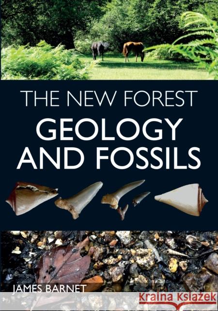 The New Forest: Geology and Fossils James Barnet 9781785008160 The Crowood Press Ltd