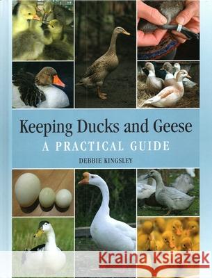 Keeping Ducks and Geese: A Practical Guide Debbie Kingsley 9781785009617 The Crowood Press Ltd