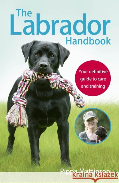 The Labrador Handbook: The definitive guide to training and caring for your Labrador Pippa Mattinson 9781785030918 Ebury Press
