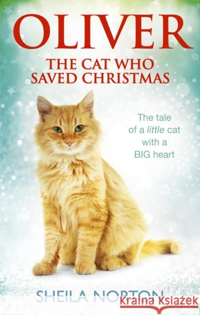 Oliver The Cat Who Saved Christmas Sheila Norton 9781785033551 
