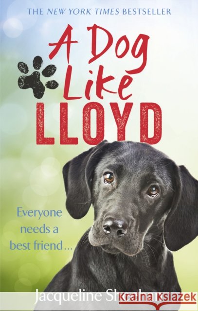 Dog Like Lloyd  Sheehan, Jacqueline 9781785034510