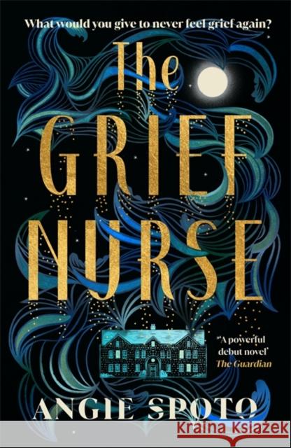 The Grief Nurse: 'A powerful debut novel' - The Guardian Angie Spoto 9781785306297 Bonnier Books Ltd