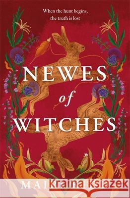 Newes of Witches Mairi Kidd 9781785309311 Bonnier Books Ltd