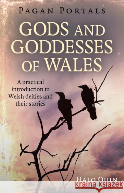 Pagan Portals - Gods and Goddesses of Wales: A practical introduction to Welsh deities and their stories Halo Quin 9781785356216 John Hunt Publishing