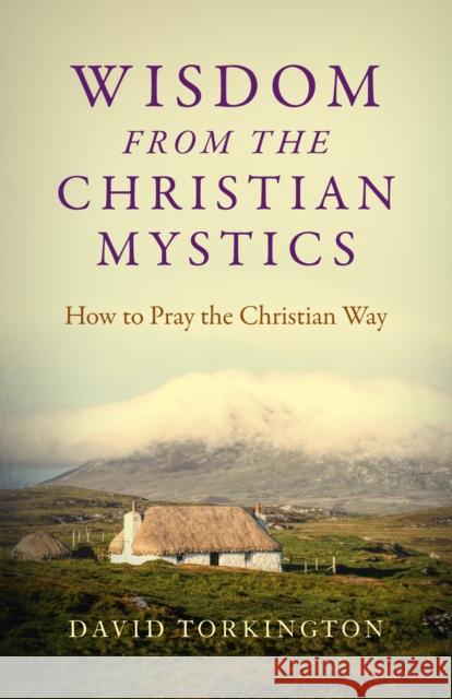 Wisdom from the Christian Mystics: How to Pray the Christian Way David Torkington 9781785357749 Collective Ink