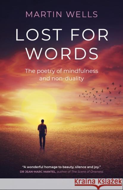 Lost for Words: The Poetry of Mindfulness and Non-Duality Martin Wells 9781785359316 Mantra Books