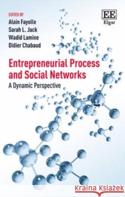 Entrepreneurial Process and Social Networks: A Dynamic Perspective Alain Fayolle Wadid Lamine  9781785364877